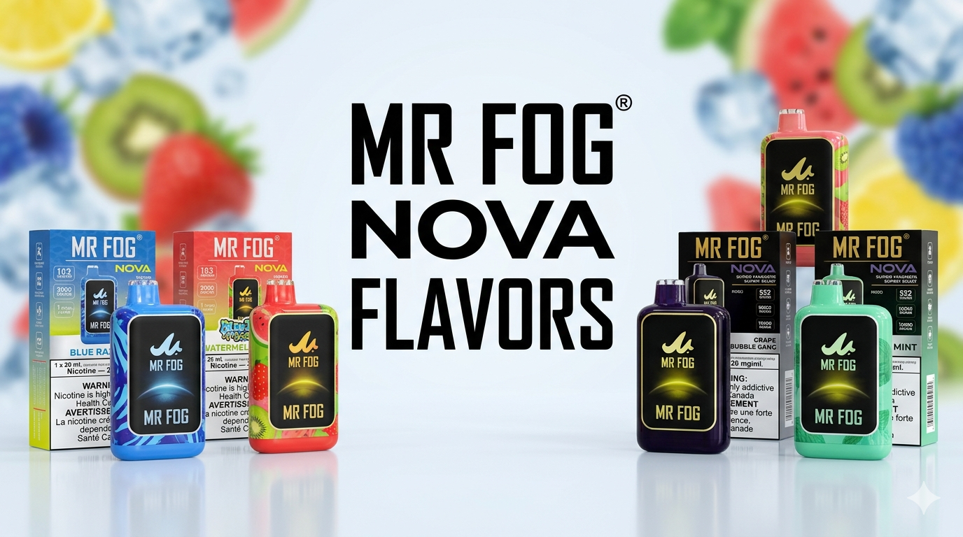 Mr Fog Nova Features and Performance Explained in Detail
